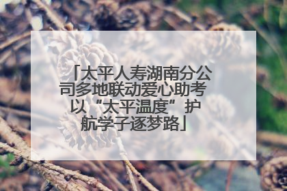 太平人寿湖南分公司多地联动爱心助考 以“太平温度”护航学子逐梦路