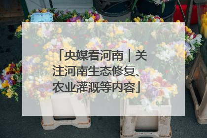 央媒看河南｜关注河南生态修复、农业灌溉等内容