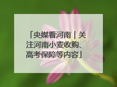 央媒看河南｜关注河南小麦收购、高考保障等内容