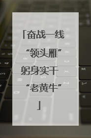 奋战一线“领头雁” 躬身实干“老黄牛”