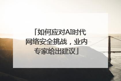 如何应对AI时代网络安全挑战，业内专家给出建议