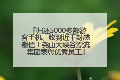 归还5000多部游客手机、收到近千封感谢信！尧山大峡谷漂流集团表彰优秀员工