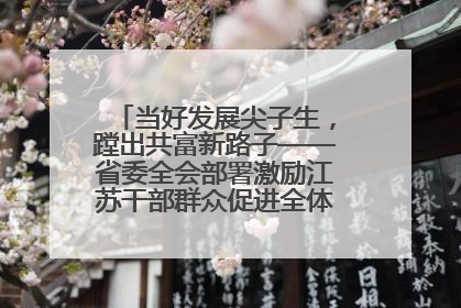当好发展尖子生，蹚出共富新路子——省委全会部署激励江苏干部群众促进全体人民共同富裕