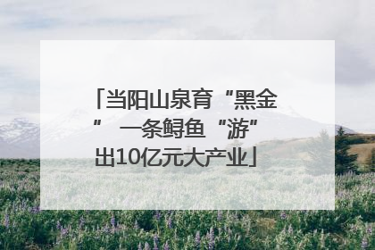 当阳山泉育“黑金” 一条鲟鱼“游”出10亿元大产业