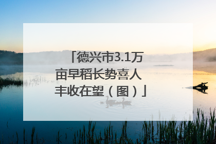 德兴市3.1万亩早稻长势喜人 丰收在望（图）