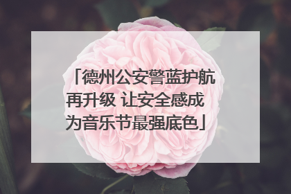 德州公安警蓝护航再升级 让安全感成为音乐节最强底色