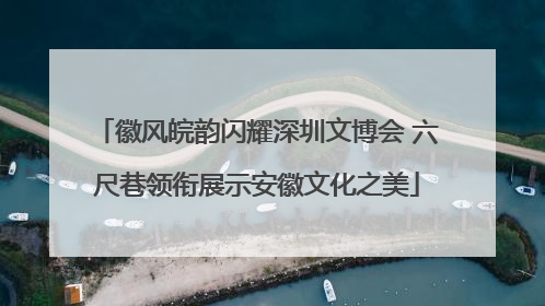 徽风皖韵闪耀深圳文博会 六尺巷领衔展示安徽文化之美