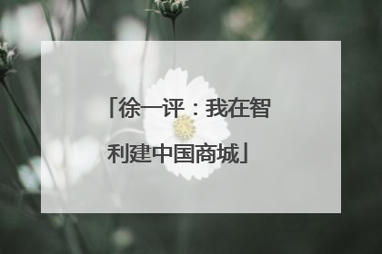 徐一评：我在智利建中国商城