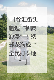 徐汇街头邂逅“初夏浪漫”！绣球花海成“全民打卡地”