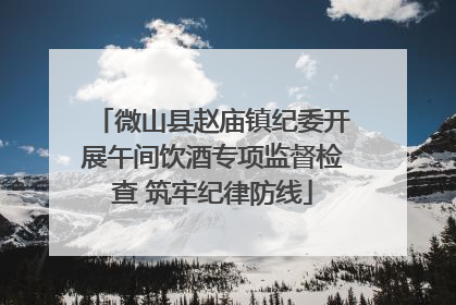微山县赵庙镇纪委开展午间饮酒专项监督检查 筑牢纪律防线