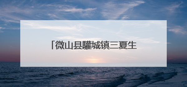 微山县驩城镇三夏生产跑出 “加速度”