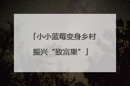 小小蓝莓变身乡村振兴“致富果”