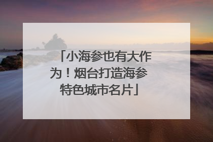 小海参也有大作为！烟台打造海参特色城市名片