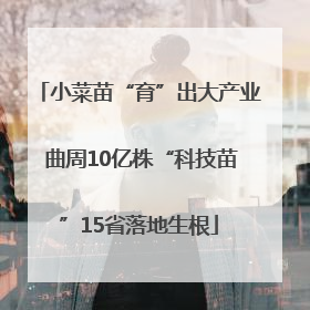 小菜苗“育”出大产业 曲周10亿株“科技苗”15省落地生根