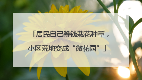 居民自己筹钱栽花种草，小区荒地变成“微花园”