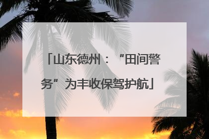 山东德州：“田间警务”为丰收保驾护航