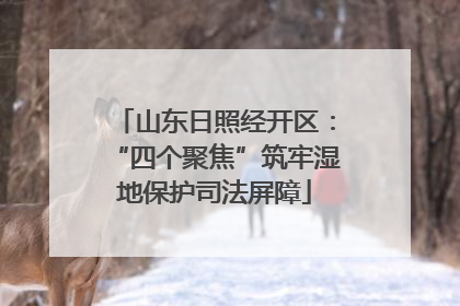 山东日照经开区：“四个聚焦”筑牢湿地保护司法屏障