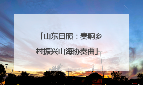 山东日照：奏响乡村振兴山海协奏曲