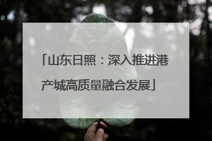 山东日照：深入推进港产城高质量融合发展