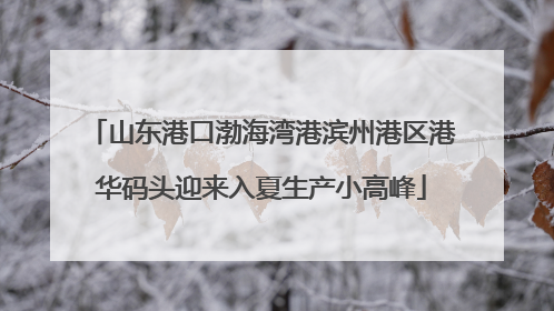 山东港口渤海湾港滨州港区港华码头迎来入夏生产小高峰
