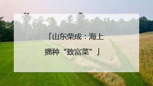 山东荣成：海上播种“致富菜”