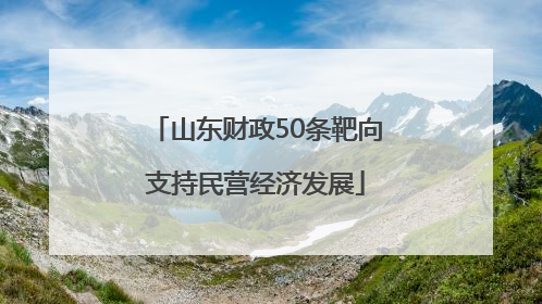 山东财政50条靶向支持民营经济发展