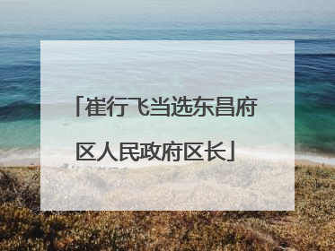 崔行飞当选东昌府区人民政府区长
