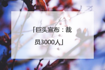 巨头宣布：裁员3000人