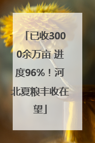 已收3000余万亩 进度96%！河北夏粮丰收在望