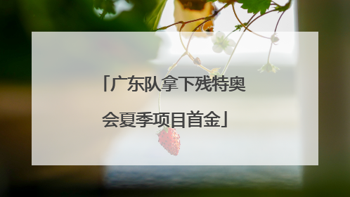 广东队拿下残特奥会夏季项目首金