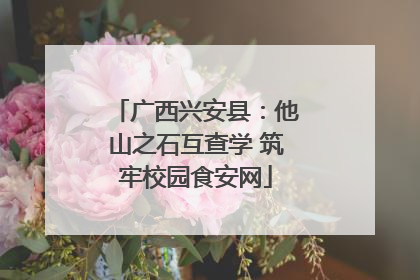 广西兴安县：他山之石互查学 筑牢校园食安网