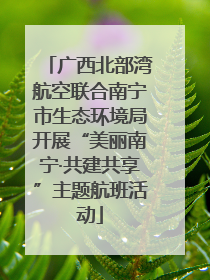 广西北部湾航空联合南宁市生态环境局开展“美丽南宁·共建共享”主题航班活动