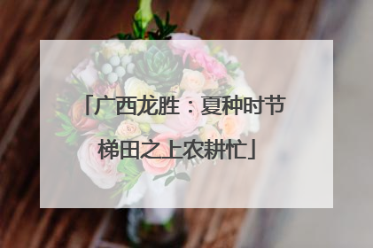 广西龙胜：夏种时节 梯田之上农耕忙