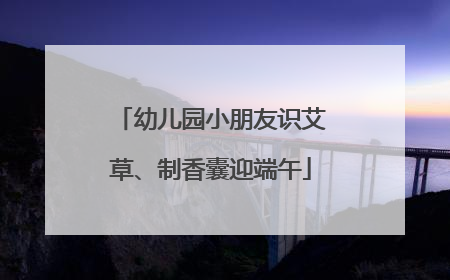 幼儿园小朋友识艾草、制香囊迎端午