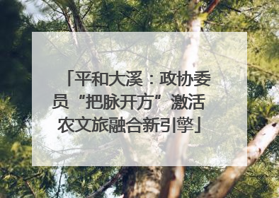 平和大溪：政协委员“把脉开方”激活农文旅融合新引擎