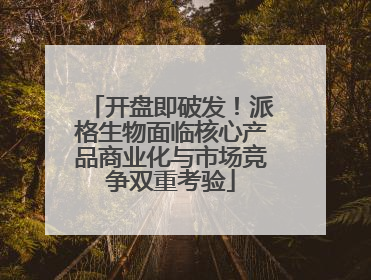 开盘即破发！派格生物面临核心产品商业化与市场竞争双重考验