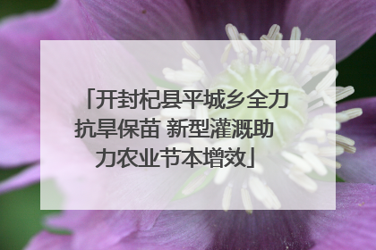 开封杞县平城乡全力抗旱保苗 新型灌溉助力农业节本增效