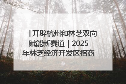 开辟杭州和林芝双向赋能新赛道｜2025年林芝经济开发区招商引资（杭州）推介展销活动在杭举办