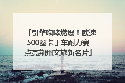 引擎咆哮燃爆！欧速500圈卡丁车耐力赛点亮荆州文旅新名片