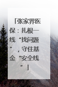张家界医保：扎根一线“找问题”，守住基金“安全线”