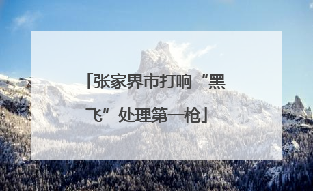 张家界市打响“黑飞”处理第一枪