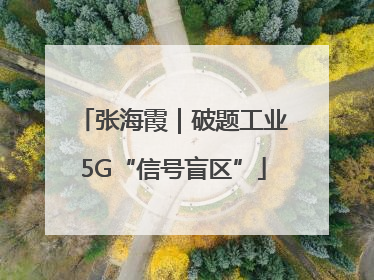 张海霞｜破题工业5G“信号盲区”