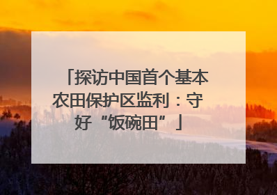 探访中国首个基本农田保护区监利：守好“饭碗田”