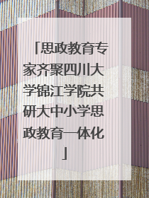 思政教育专家齐聚四川大学锦江学院共研大中小学思政教育一体化