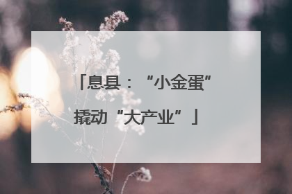 息县：“小金蛋”撬动“大产业”