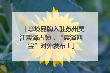 意境品牌入驻苏州吴江震泽古镇，“震泽四宝”对外发布！