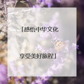 感悟中华文化 享受美好旅程