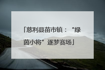 慈利县苗市镇：“绿茵小将”逐梦赛场