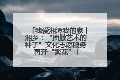我爱湘潭我的家丨湘乡：“播撒艺术的种子”文化志愿服务再开“繁花”