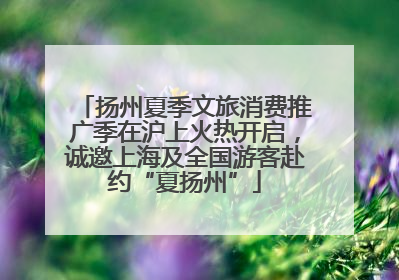 扬州夏季文旅消费推广季在沪上火热开启，诚邀上海及全国游客赴约“夏扬州”